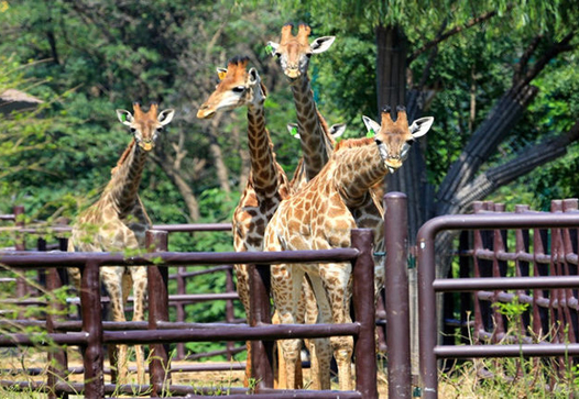 济南野生动物园